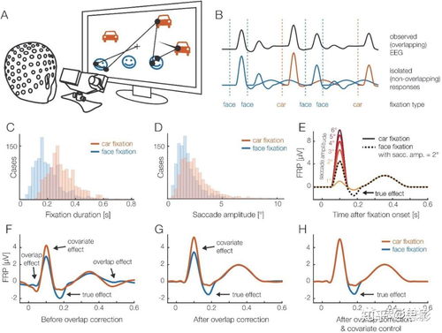 思影科技眼動數據處理服務與軟件開發，賦能精準視覺洞察